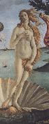 The Birth of Venus (mk36) Botticelli